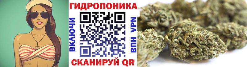 Шишки марихуана марихуана  Обоянь 